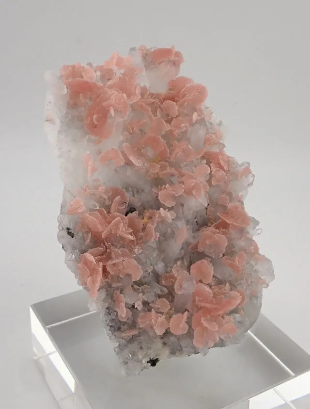 China Rhodochrosite 3 | JESUS MONTES CHICO