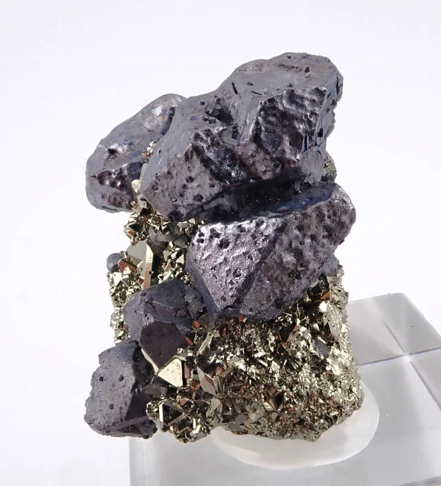 Galena With Pyrite255 | JESUS MONTES CHICO