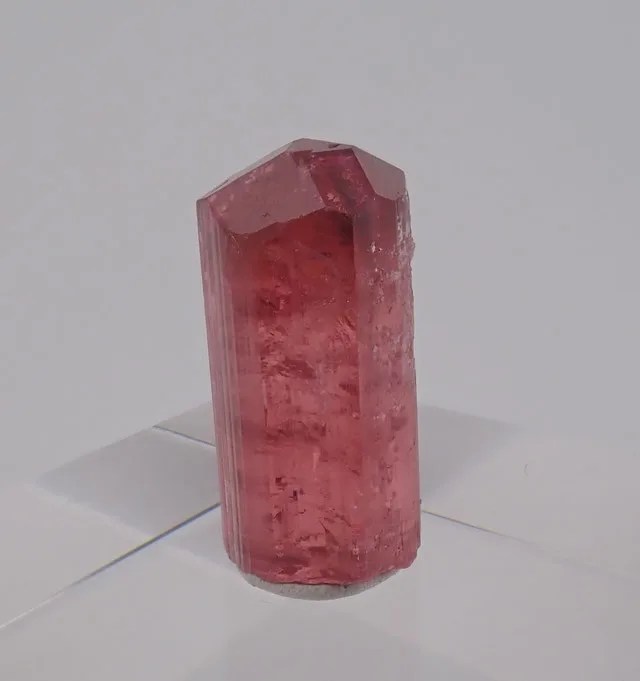 Malkhan Rubellite555 | JESUS MONTES CHICO